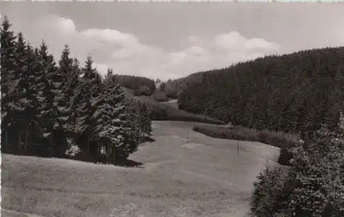 Schwarzenbach - Am Döbraberg - 1964