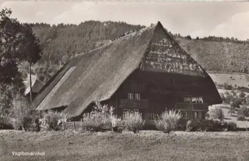 Winterberg-Altastenberg - Vogtbauernhof