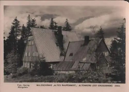 Altenberg, Erzgebirge - Waldschänke Altes Raupennest - 1953