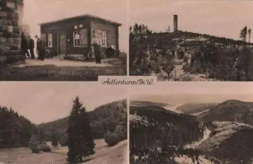 Adlersberg - Adlersturm und Umgebung Stutenhaus - 1965