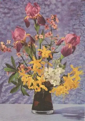 Blumen in Vase