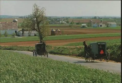 USA - USA - Amish Country - two buggy card - 1986