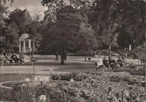 Bad Salzuflen - Im Kurpark - Leopoldsprudel - 1964