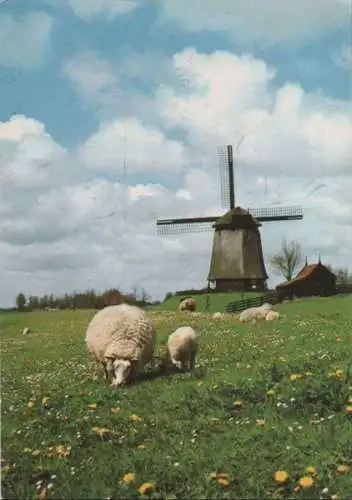 Niederlande - Niederlande - Alkmaar-Schermerhorn - Mühle - ca. 1985