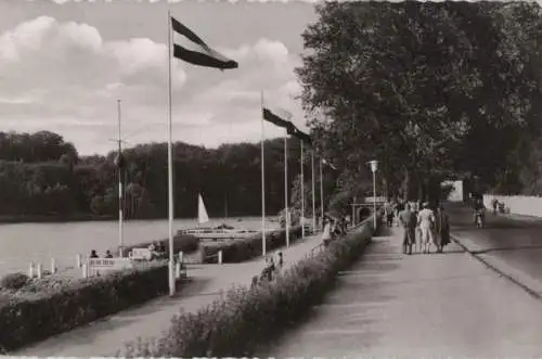 Malente - Gremsmühlen, Dieksee-Promenade - 1960