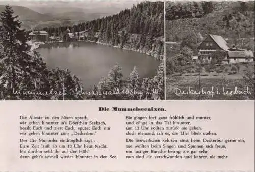 Mummelsee - Mummelseenixen