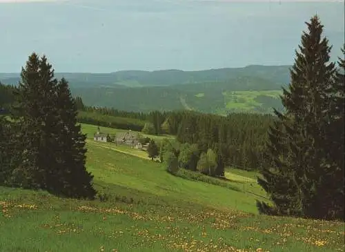 Winterberg-Altastenberg - Heiligenbrunnen