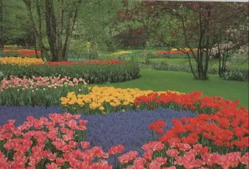 Niederlande - Niederlande - Lisse - Keukenhof - ca. 1980