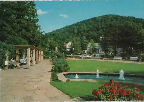 Bad Harzburg - Pergola an der weißen Brücke - ca. 1975