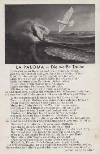 La Paloma - weiße Taube