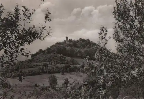 Bad Blankenburg - Der Greifenstein - 1966