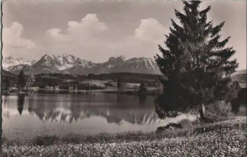 Schwaltenweiher - mit Gimpel und Aggenstein - 1967