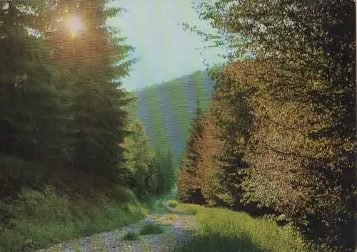 Fichtelgebirge - Abendstimmung - 1979