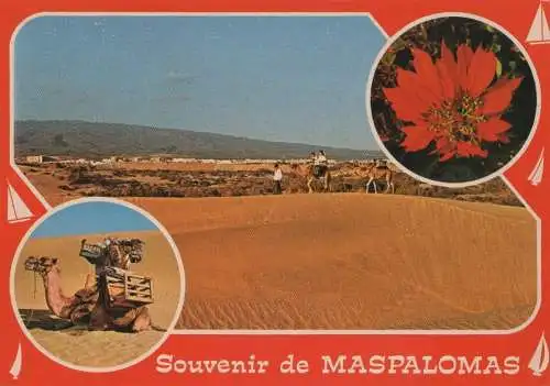 Spanien - Maspalomas - Spanien - Souvenir