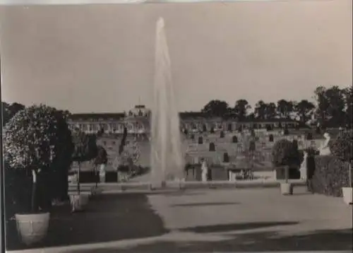 Potsdam - Schloß Sanssouci - 1967