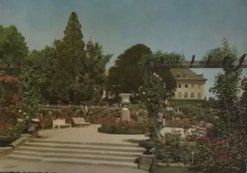 Mainau - Rosengarten - 1956