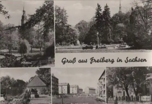 Freiberg - u.a. im Pionierpark - 1973