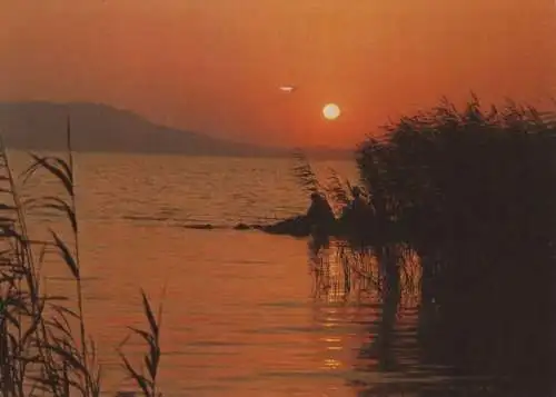 Ungarn - Ungarn - Balaton, Plattensee - 1981