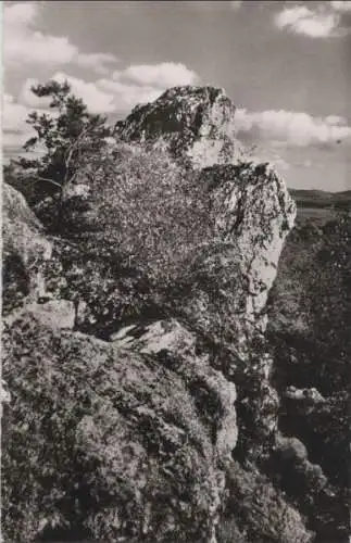 Viechtach - Pfahlpartie - ca. 1960