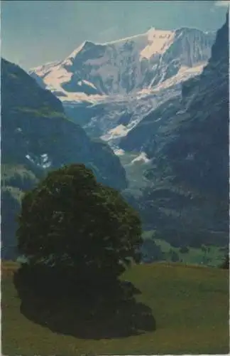 Schweiz - Grindelwald - Schweiz - First, Fiescherhörner