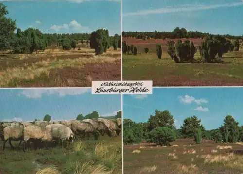 Lüneburger Heide - mit 4 Bildern - 1979