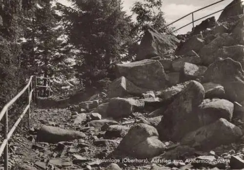 Braunlage - Aufstieg zum Achtermann