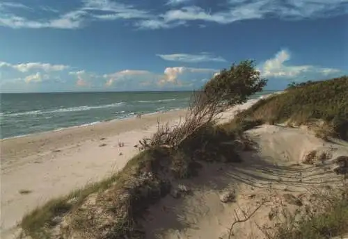 Dünenstrand Sand