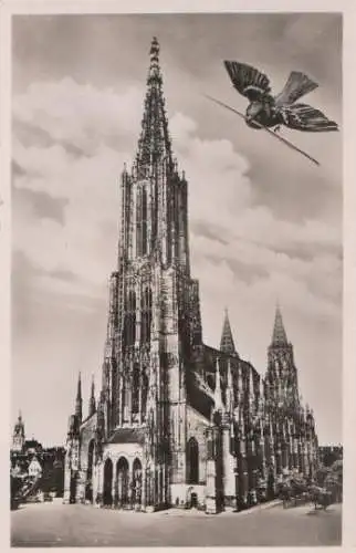 Ulm - Münster - ca. 1955