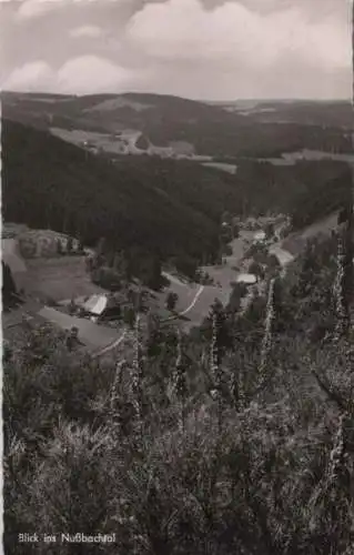 Nußbachtal - 1957