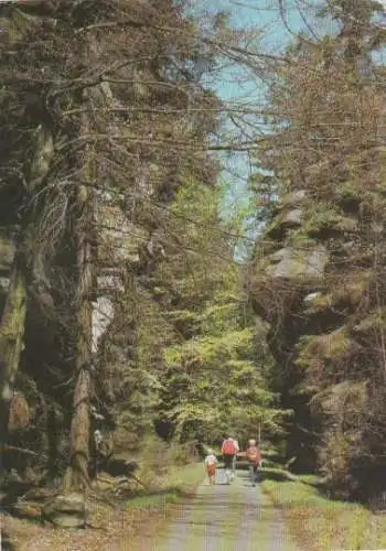 Königstein - Sächs. Schweiz - Kohlgrund - 1986