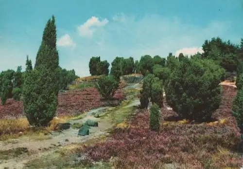 Lüneburger Heide - 1968