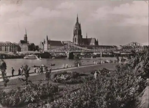 Frankfurt Main - Mainpartie - 1959