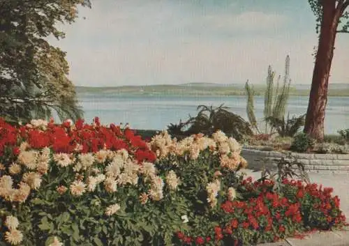 Mainau - Ufergarten mit Blick auf Birnau - ca. 1975