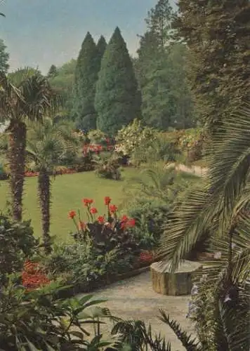 Mainau - Blick vom Palmenhain - 1963