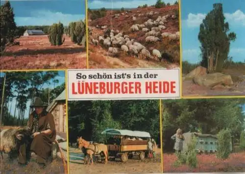 Lüneburger Heide - mit 6 Bildern - 1987