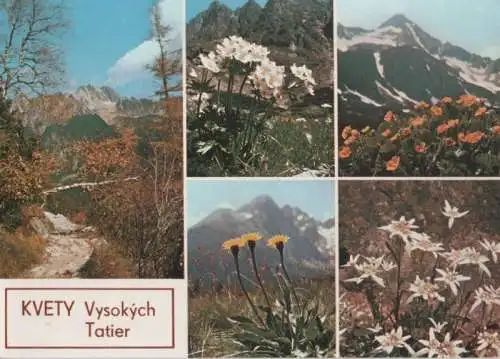 Slowakei - Slowakei - Vysoke Tatry - Hohe Tatra - ca. 1985