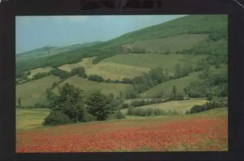 Italien - Toscana - Italien - Landschaft