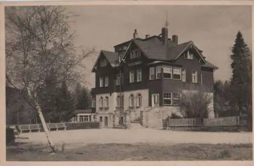 Altenberg-Bärenfels - Hotel Felsenburg [FOTO, keine Ak] - ca. 1950