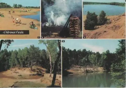 Dübener Heide - u.a. Bergwitzer See - 1976