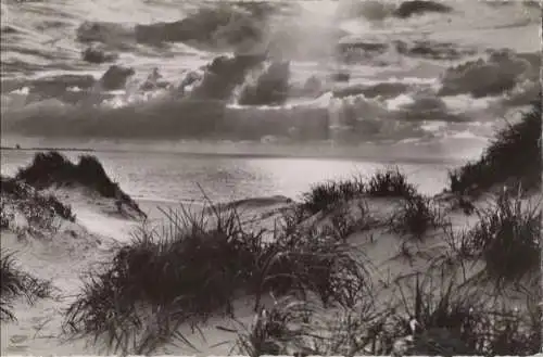 Langeoog - Dünen und Sand