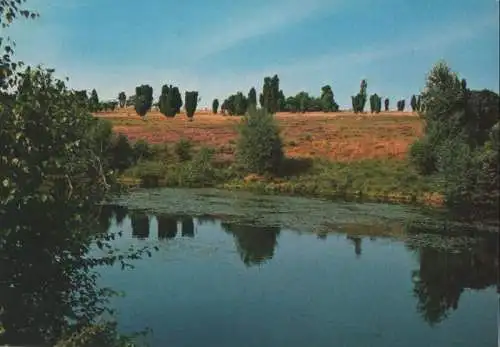 Lüneburger Heide - ca. 1980