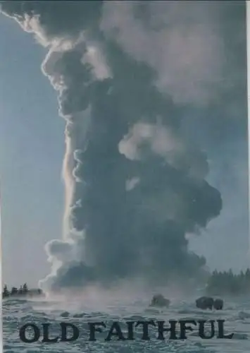 USA - USA - Yellowstone National Park - Old Faithful - 1992