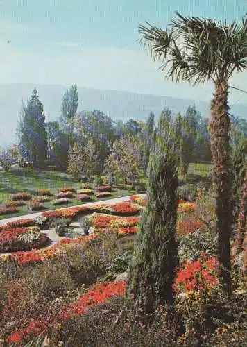 Mainau (Insel) - Blick von der Mediterranterrasse - 1991