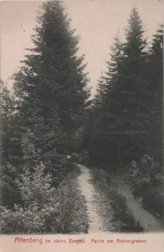 Altenberg - Partie am Aschergraben - ca. 1935