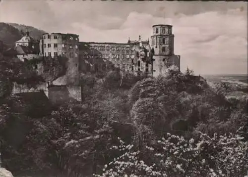 Heidelberg - Schloß - 1955