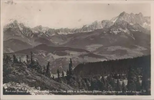 Österreich - Österreich - Salzkammergut - Blick von Rossbrand auf Bischofsmütze - 1930