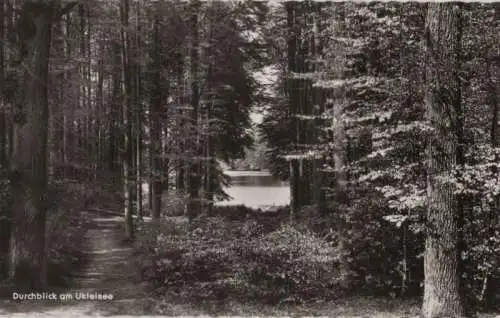 Ukleisee - Durchblick - 1966