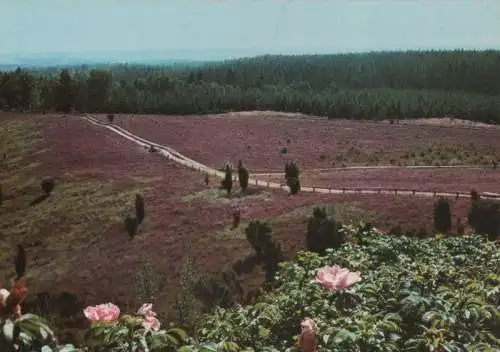 Lüneburger Heide - Totengrund - ca. 1980