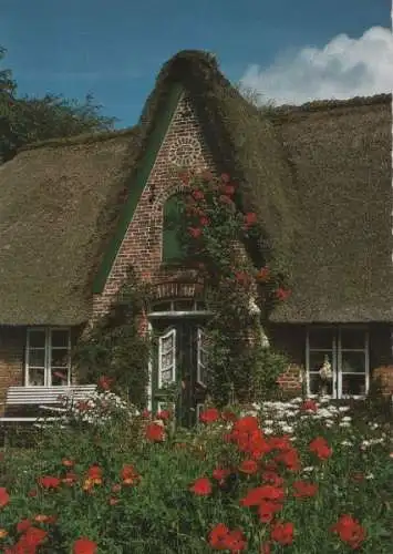 Sylt, Keitum - Altes Friesenhaus - 1996