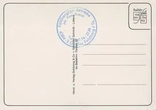 Feldberg (Berg im Taunus) - 13 Bilder